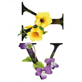 FT061 Transfer TELA Letras 25x35