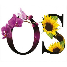 FT059 Transfer TELA Letras 25x35