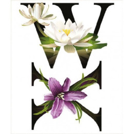 FT051 Transfer TELA Letras 25x35