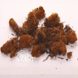 Musgo 15 G. Herdoil