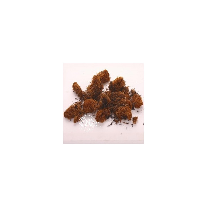 Muscgo 15 G. Óxido
