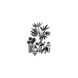 copy of