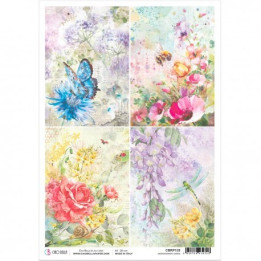 Rice Paper A4 Microcosmos Cards