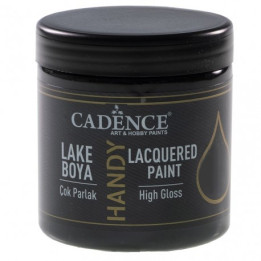 LACQUERED PAINT 250ml Black