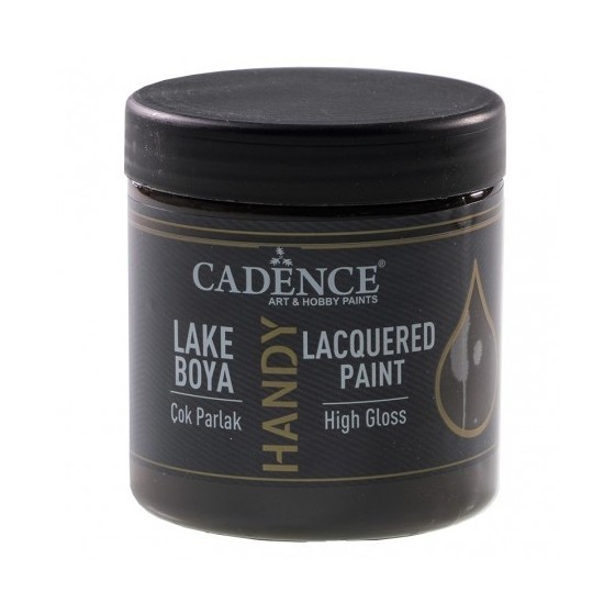 LACQUERED PAINT 250ml Dark...
