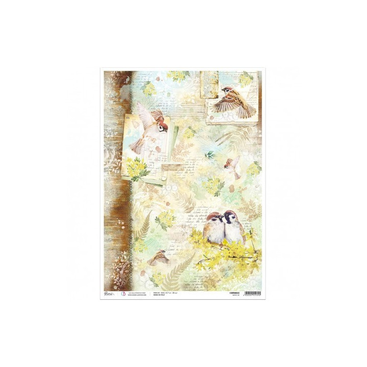 Rice Paper A3 Notre Vie