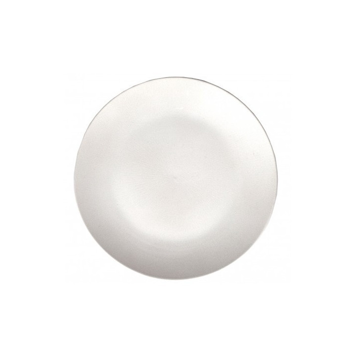 Plato De Resina 24,5cm