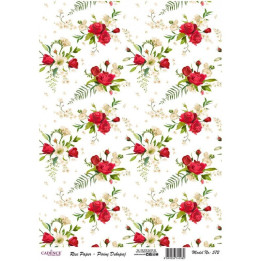 Papel De Arroz 571 PENSAMIENTOS Y ROMBOS