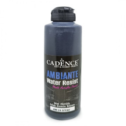 AMBIANTE WATER RESIST Black 250ml + CAT.*