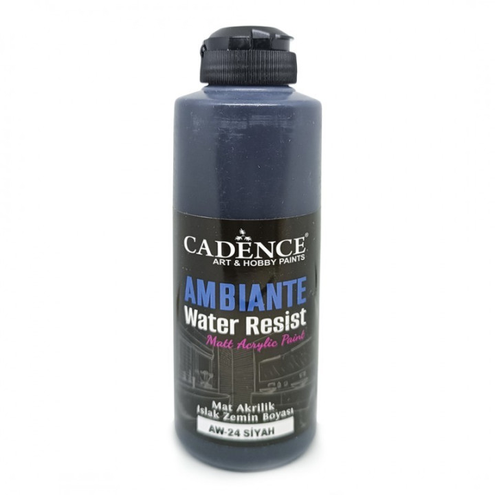 AMBIANTE WATER RESIST Black 250ml + CAT.*
