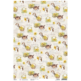 Rice Paper A4 Piuma Time Of Spring