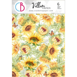 copy of Vellum Reing of grace Paper Patterns A4 6/Pkg