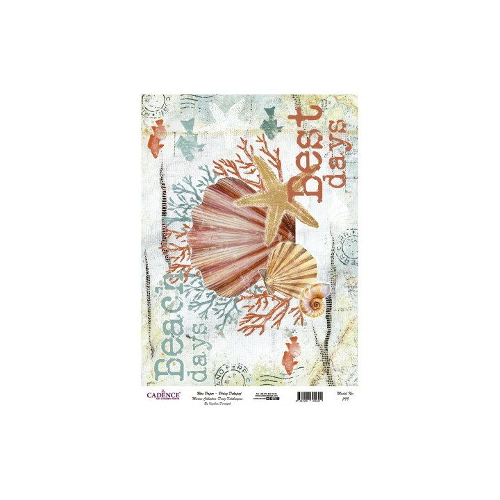Papel Arroz Cadence A3