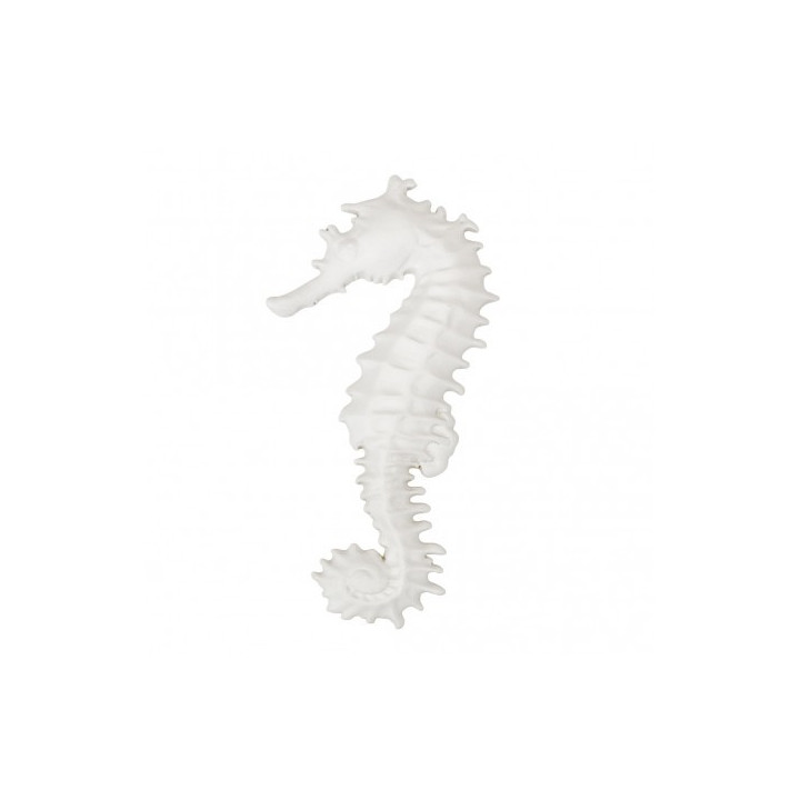 Caballito de mar