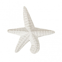 Estrela-do-mar grande