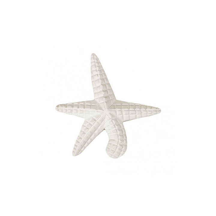 Estrela-do-mar grande