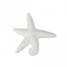 Estrela-do-mar média