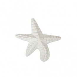 Estrela-do-mar pequena