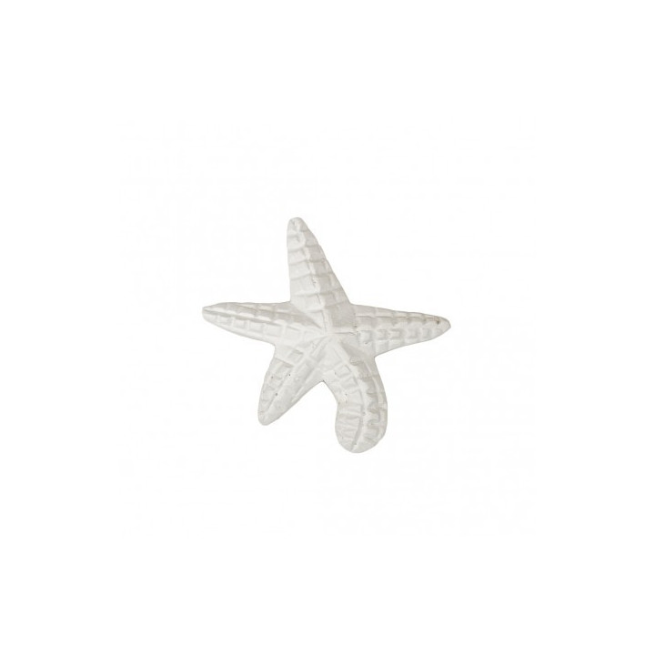 Estrela-do-mar pequena