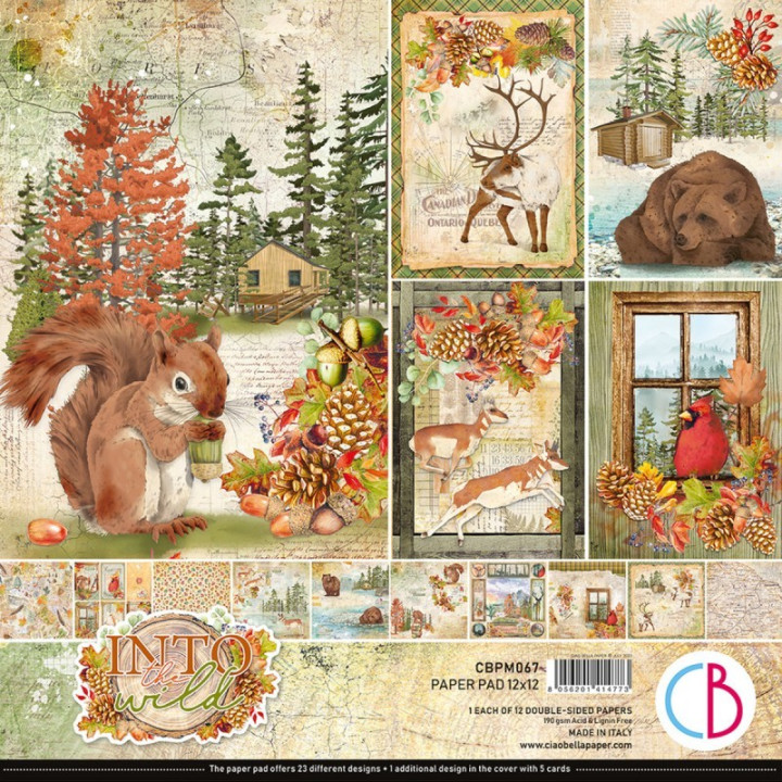 My First Year Vol.2 Paper Pad 12"x12" 12/Pkg