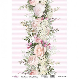 copy of