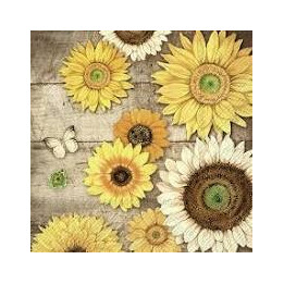Servilletas 33x33 cm - Bienvenue