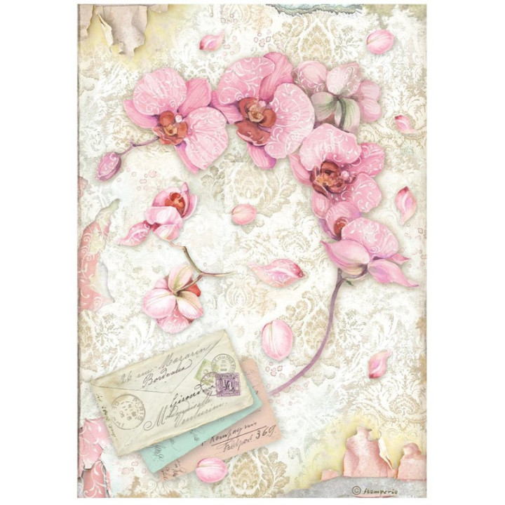 Papel arroz 4442 A4 Mannequin - Stamperia