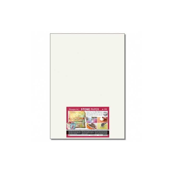 copy of