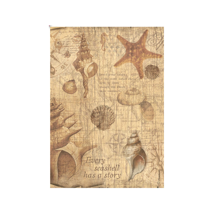 Papel Arroz Stamperia A4 Sea Land Conchas.