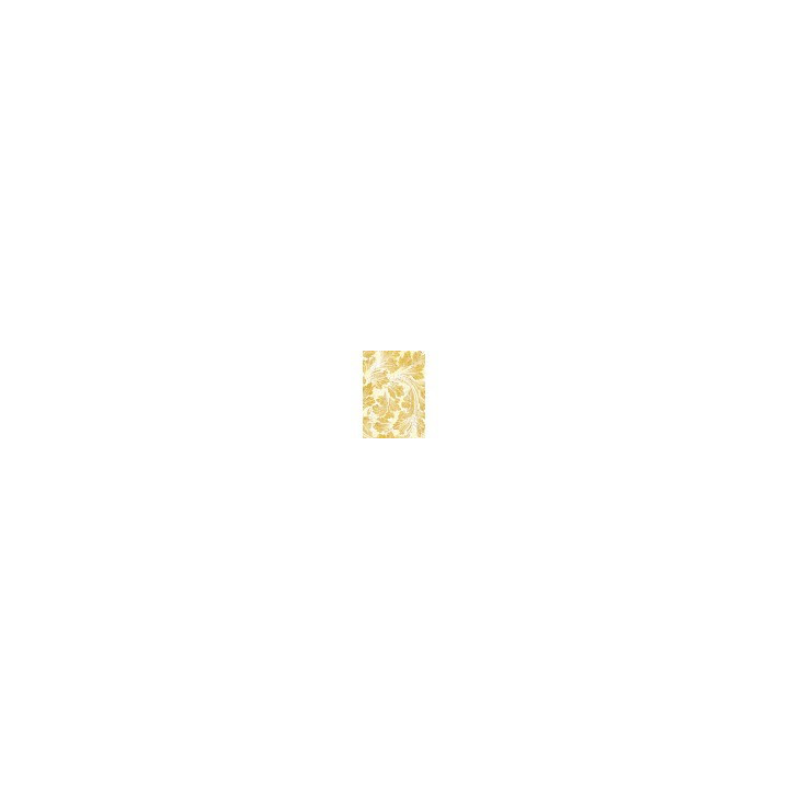 copy of Vellum Reing of grace Paper Patterns A4 6/Pkg