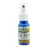 MIXMEDIA SPRAY 882513CADENCE