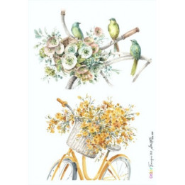 COLOR TRANSFER Ani Arts 20x30cm.***