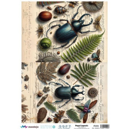 Papel De Arroz Soft A3 30x41cm SPA5620