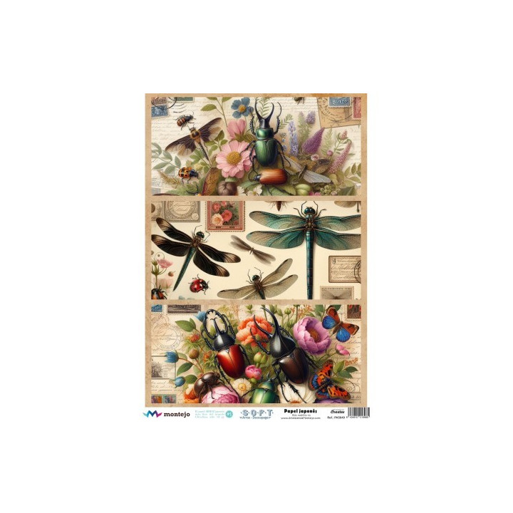 Papel De Arroz Soft A3 30x41cm SPA5620