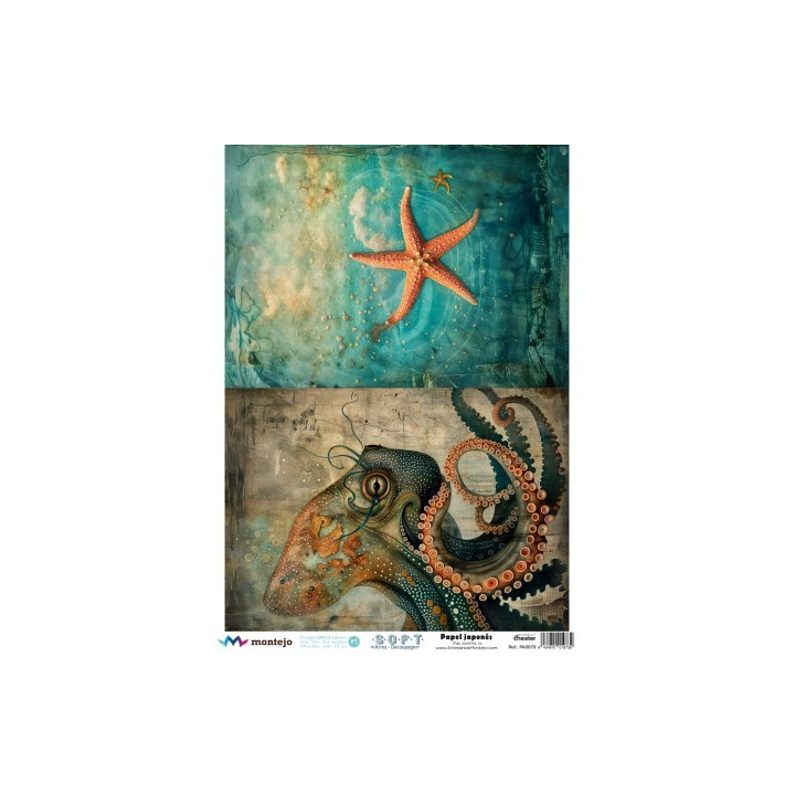 Papel De Arroz Soft A3 30x41cm SPA5620
