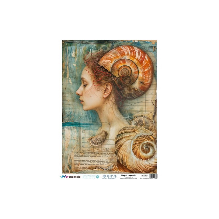 Papel De Arroz Soft A3 30x41cm SPA5620