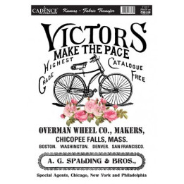 TEGIETARAKO transferra Victors Bici