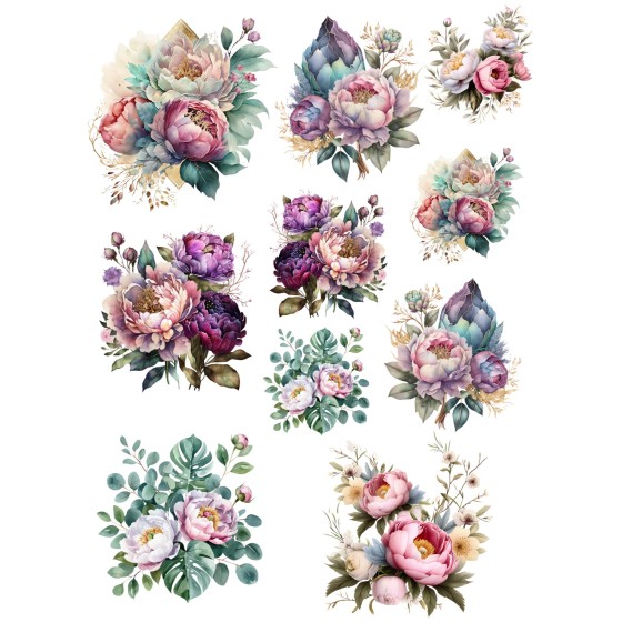 Transfer Color C. MENDIZABAL Flores*