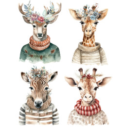DTF transferra jirafak