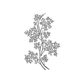 copy of