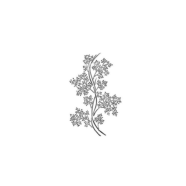copy of