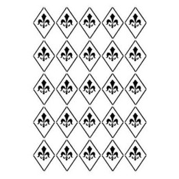 copy of