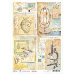 Rice Paper A4 Sign of the times Cards*