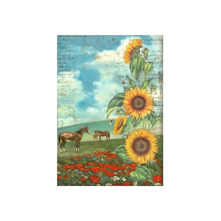 Papel de arroz Stamperia A4 - Sunflower Art Caballos DFSA4767*