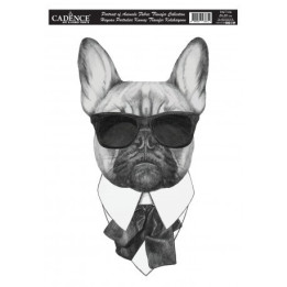 PAFT06 Transfer TELA Animal Portrait 25x35