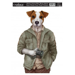 PAFT05 Animal Portrait 25x35 TELA transferra