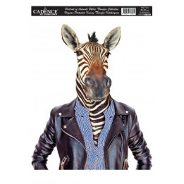 PAFT03 Transfer TELA Animal Portrait 25x35