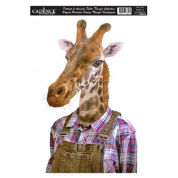 PAFT02 Transfer TELA Animal Portrait 25x35
