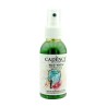 Pintura textil 1111 en spray verde