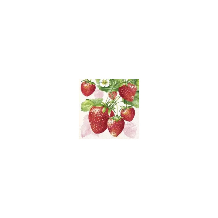 Servilletas 25x25 cm - STRAWBERRY FRUITS cream